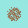 HennaMuse app