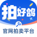 拍好鸽app