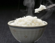 饭太香tv电视版最新接口版app免费