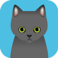 可爱猫咪满满安卓版下载