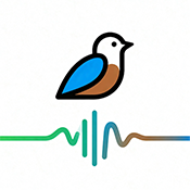 鸟语翻译器prt免费版不用版