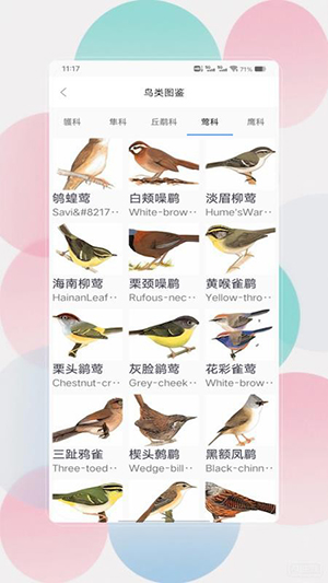 鸟语翻译器prt免费版不用版