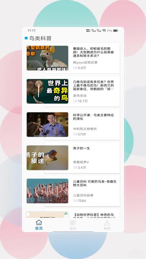 鸟语翻译器prt免费版不用版