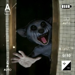 灵异照片疑云游戏下载