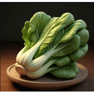 老谭酸菜TV影视盒子内置源版app